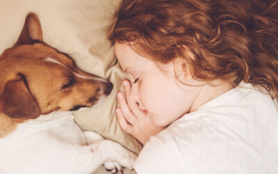 Inicio 13 Dormir con Mascotas: ¿Es Seguro para los Niños?
