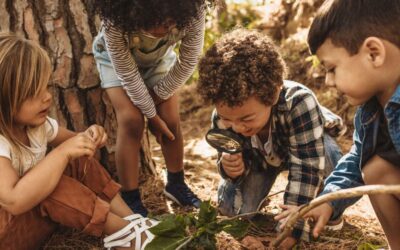 Inicio 14 La importancia de incentivar la curiosidad en los niños