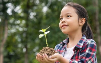 Inicio 11 Enseñando Ética, Valores y Virtudes en la Familia