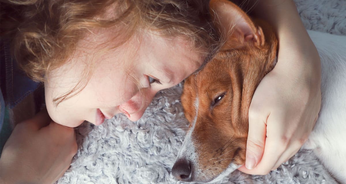 La muerte de una mascota en la familia